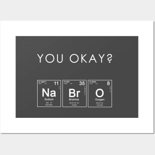 NaBrO Chemistry Posters and Art